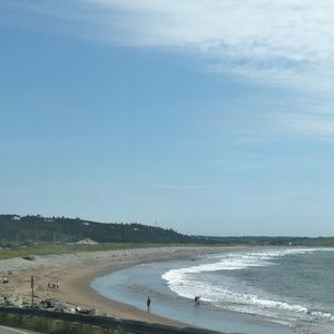 Meet your Posher, Tonie